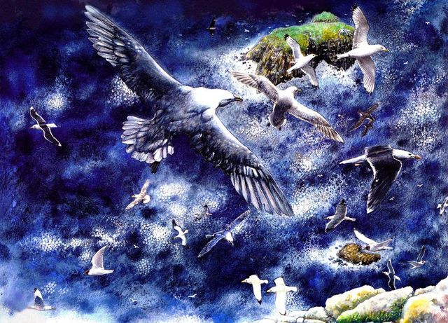 Creation