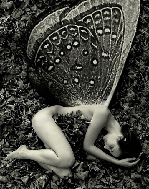 Femme papillon