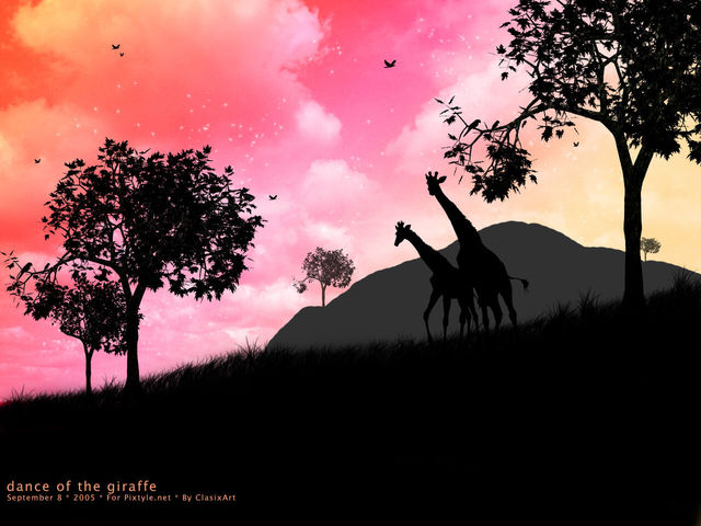 Wallpaper dance of the giraffe