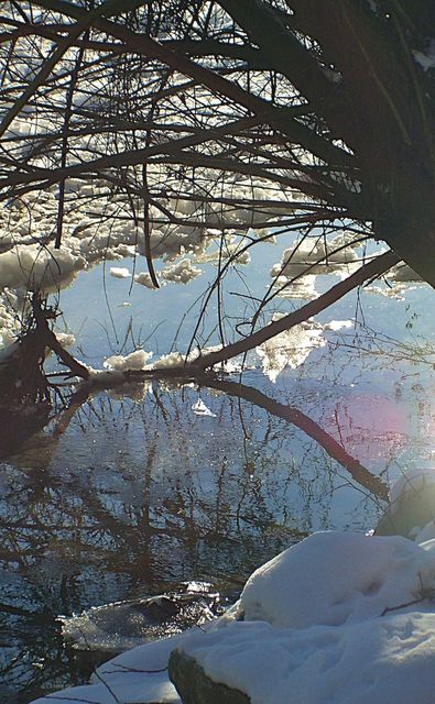 Hiver 10