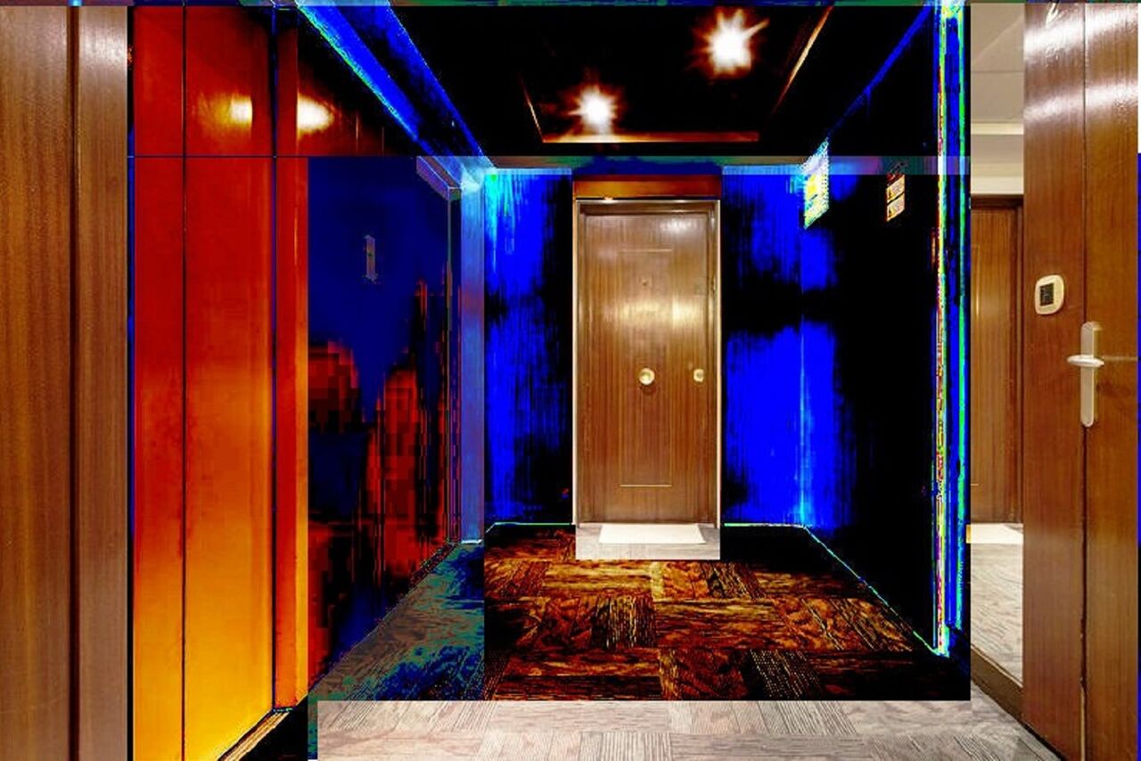 9⁹Niklas DC Polymorphose