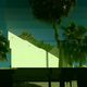 9⁹Niklas DC - Palm garden 
