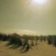 9⁹Niklas DC - Sous le soleil exactement 
