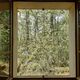 9⁹Niklas DC - wob-window 