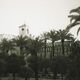 9⁹Niklas DC - Mezquita Cathedrale 