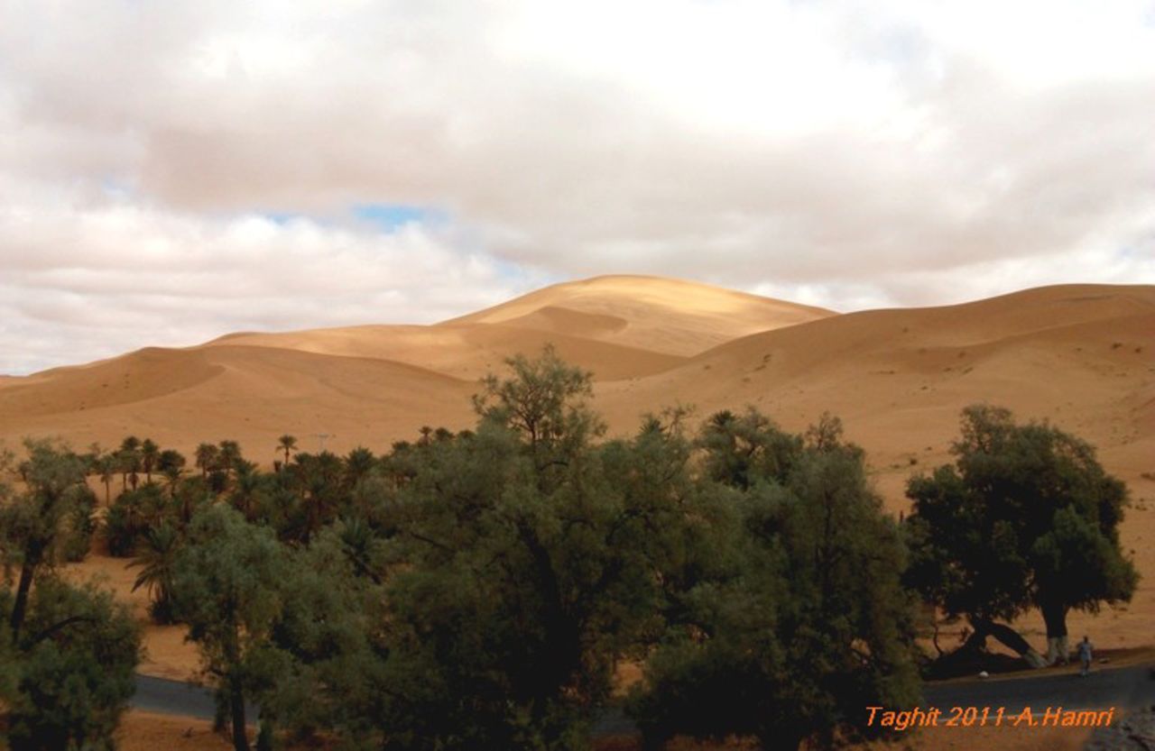 Abdelkrim Hamri Les dunes de Taghit 