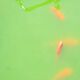 Alain LAURENT - Quand les poissons rouges se mettent au vert