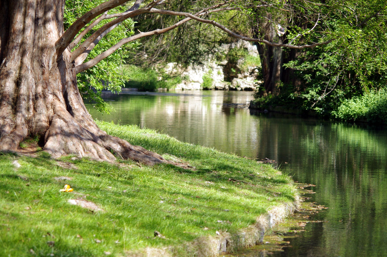 ARESLANIAN Berge Parc Borély