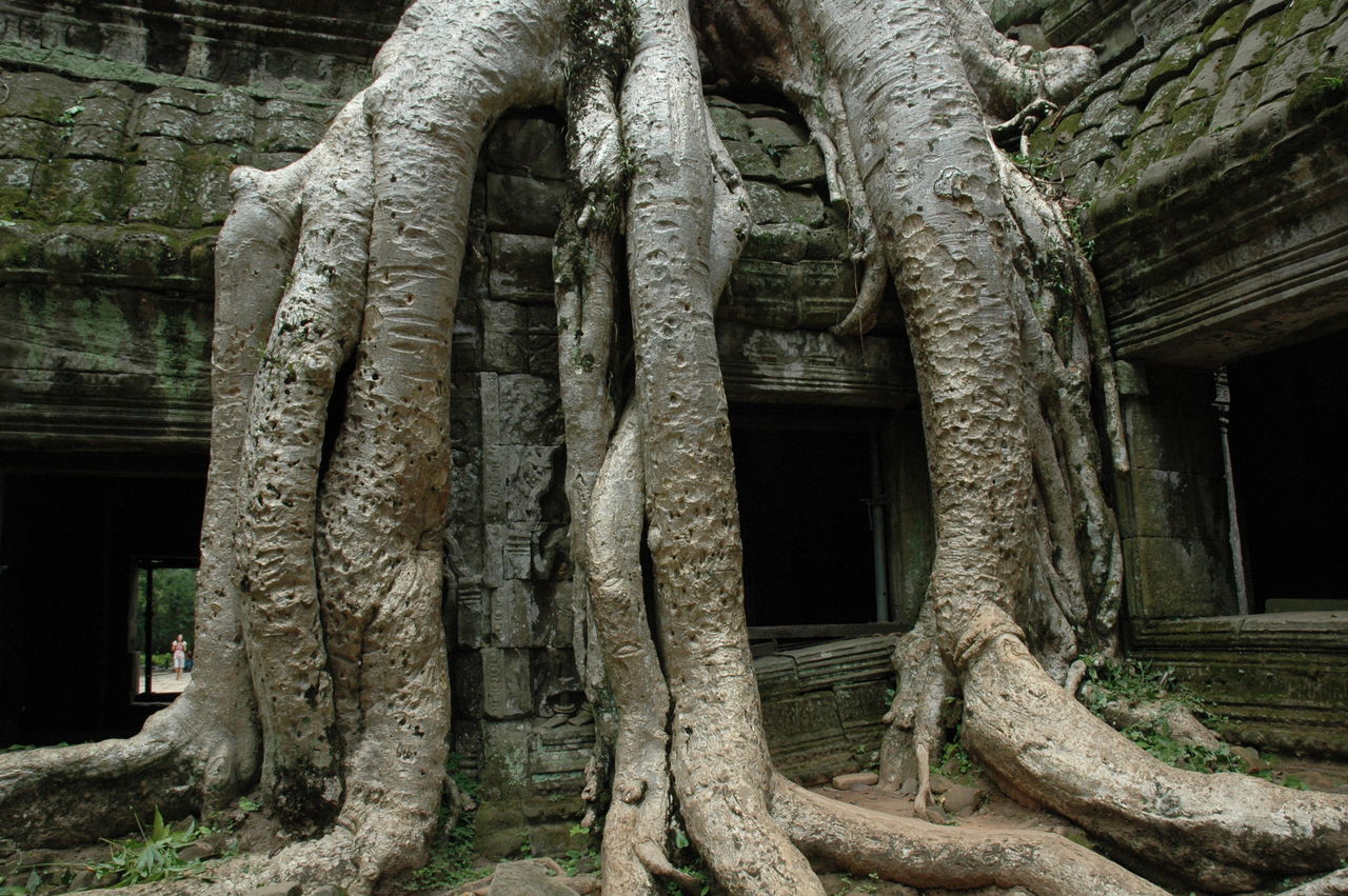 BARRE Yvon cambodge 2012 226