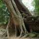 BARRE Yvon - cambodge 2012 223