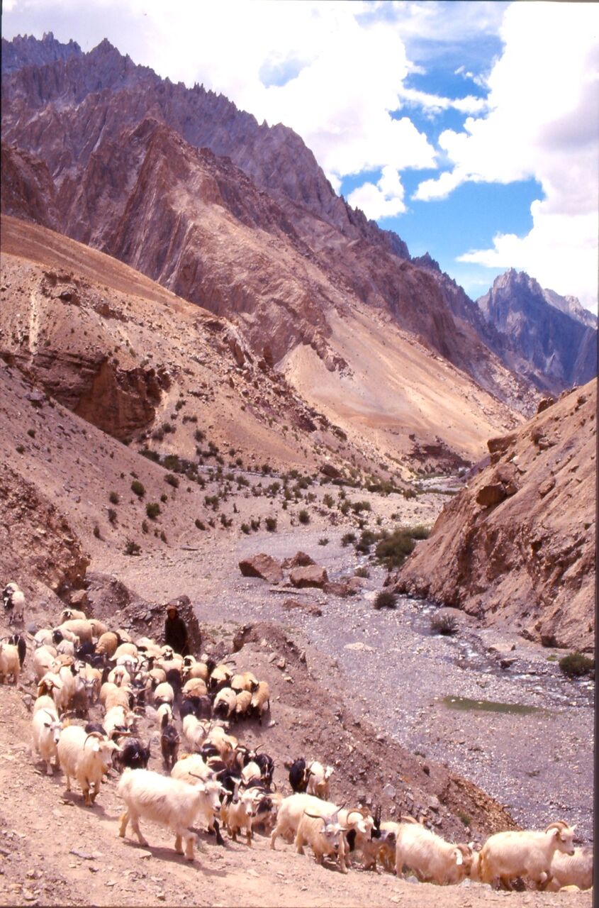 BARRE Yvon Berger  Ladakh