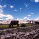 BARRE Yvon - Ladakh  (5)