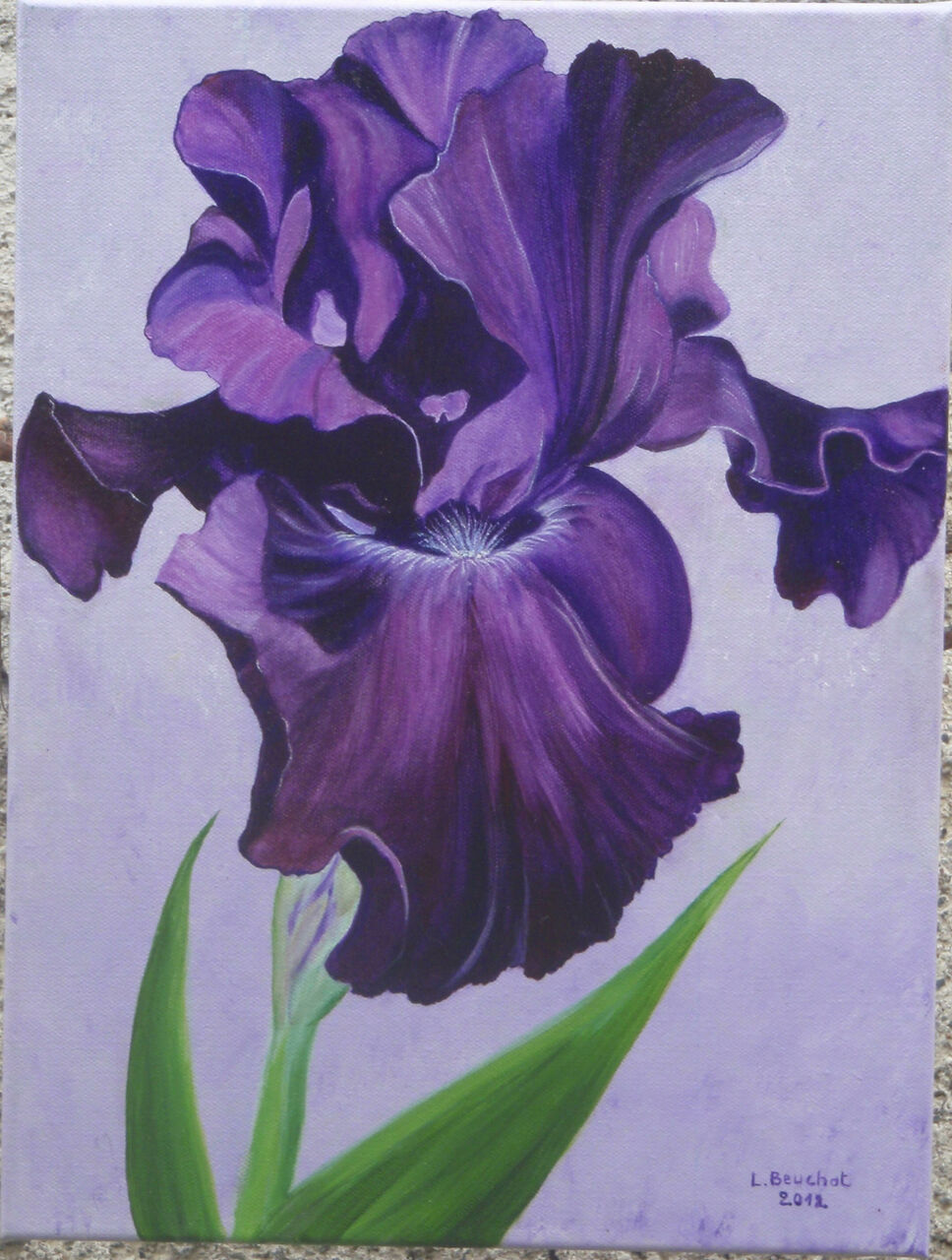 Beuchat liliane 2012      Iris