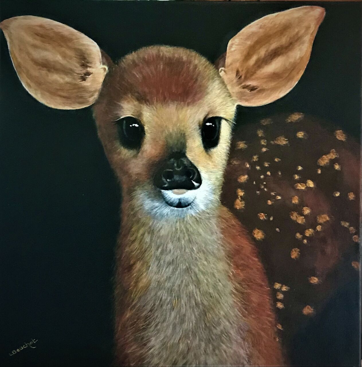 Beuchat liliane Bambi