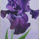 Beuchat liliane - 2012      Iris