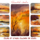 Chantal jodin - Stages Chantal Jodin