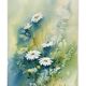 Chantal jodin - Creation