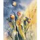 Chantal jodin - Pavots