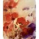 Chantal jodin - Rouge coquelicots 