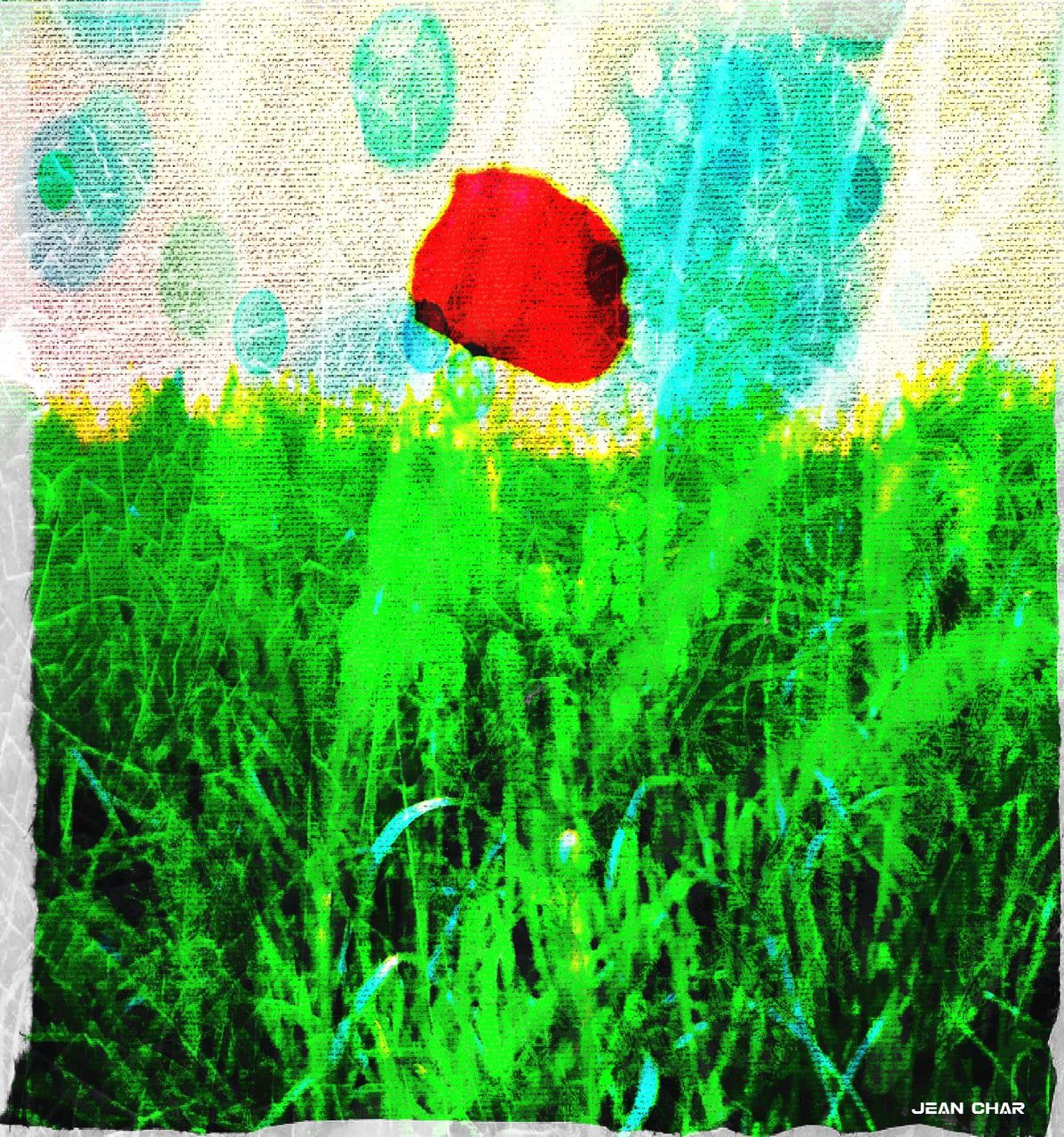 CHAR Jean Solitude d'un Coquelicot