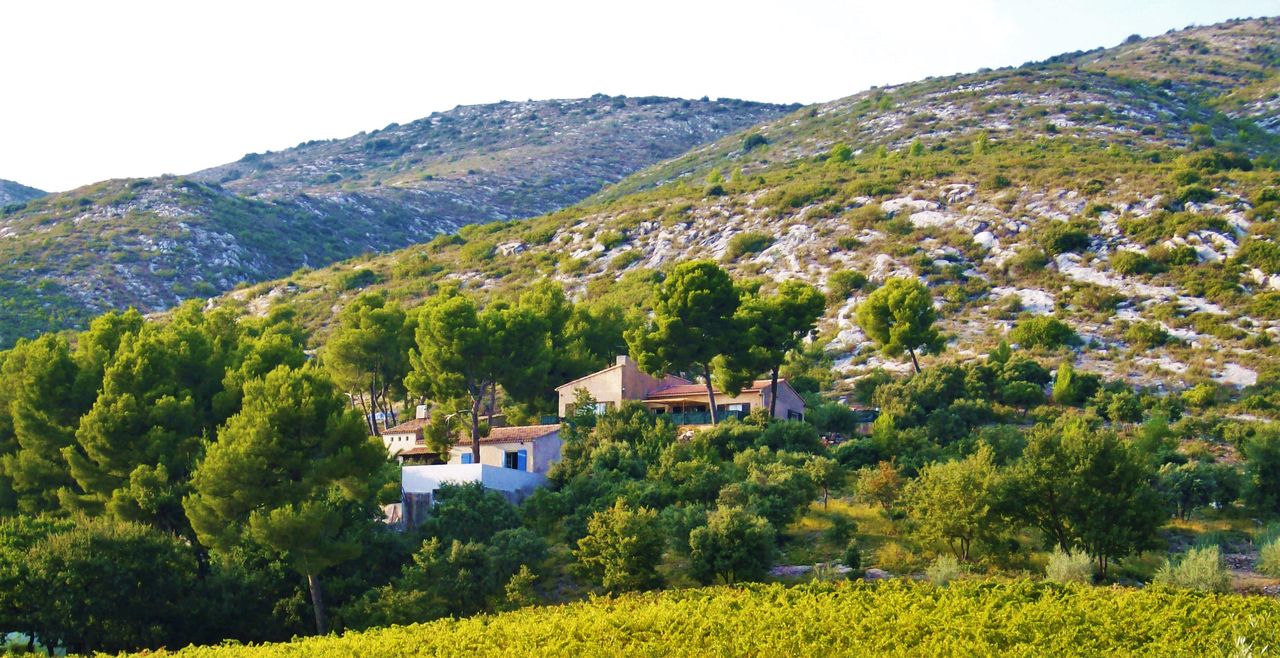 CHAR Jean Non loin de la Sainte-Victoire...
