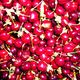CHAR Jean - Au temps des cerises...
