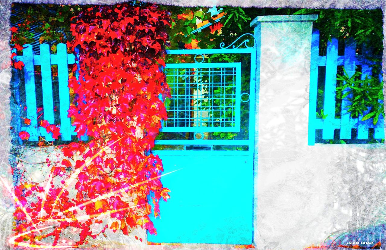 CHAR Jean La Porte d'en face