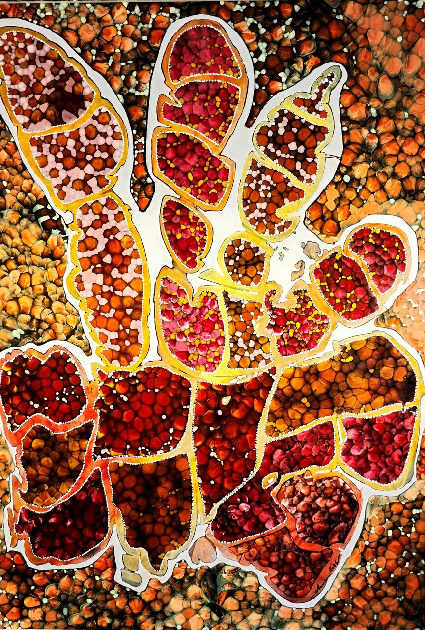 chris christopher Sans titre 357a