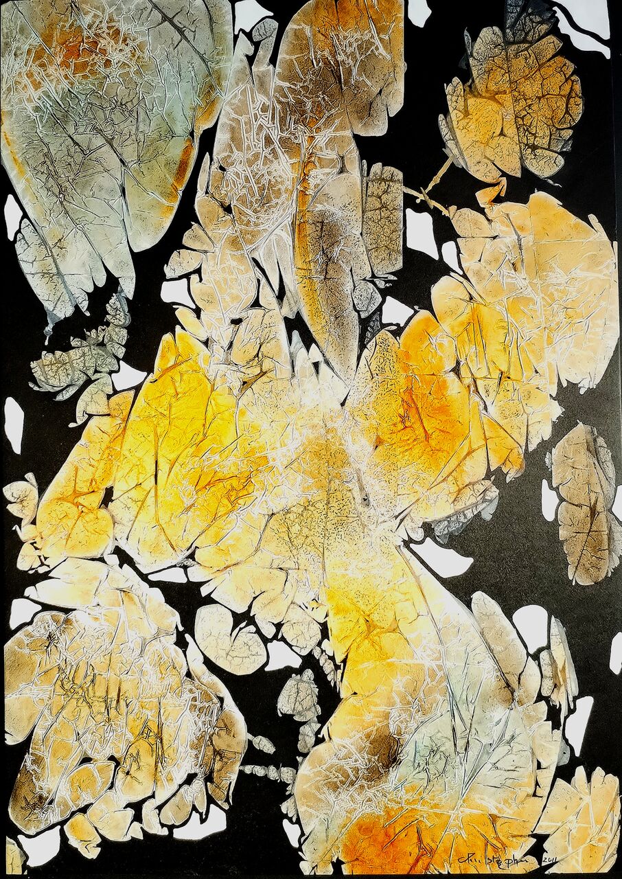 chris christopher Sans titre 358....