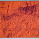 DANIELE FEDI - copper grass