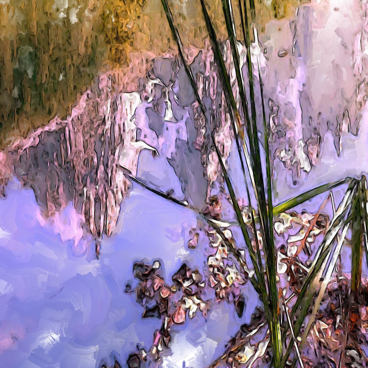 Danielle Arnal reflets des Aiguilles  dans le lac des Praz 