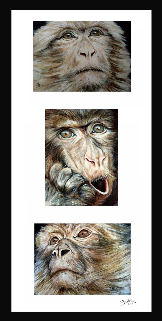 Danielle Bellefroid les trois singes ( vendu)