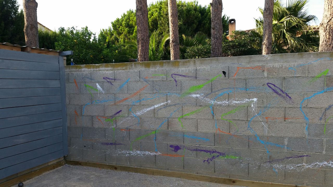Dominique Balouet Art 20150714_193158_resized