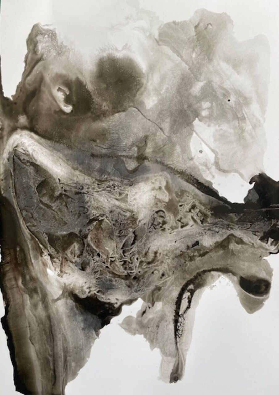 Elisabeth Mounic N 958