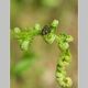 GRAVOUIL Christian - IMG_2220-2