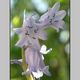 GRAVOUIL Christian - IMG_2268-1