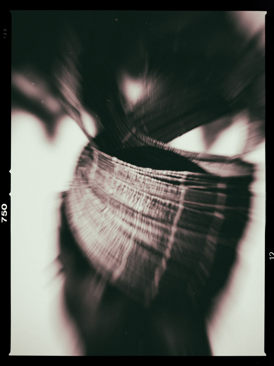 JB PHOTOART 110604_148_E 5_m