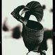 JB PHOTOART - 110604_198_E 5_02