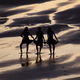 JB PHOTOART - 110909_069_E 5_01