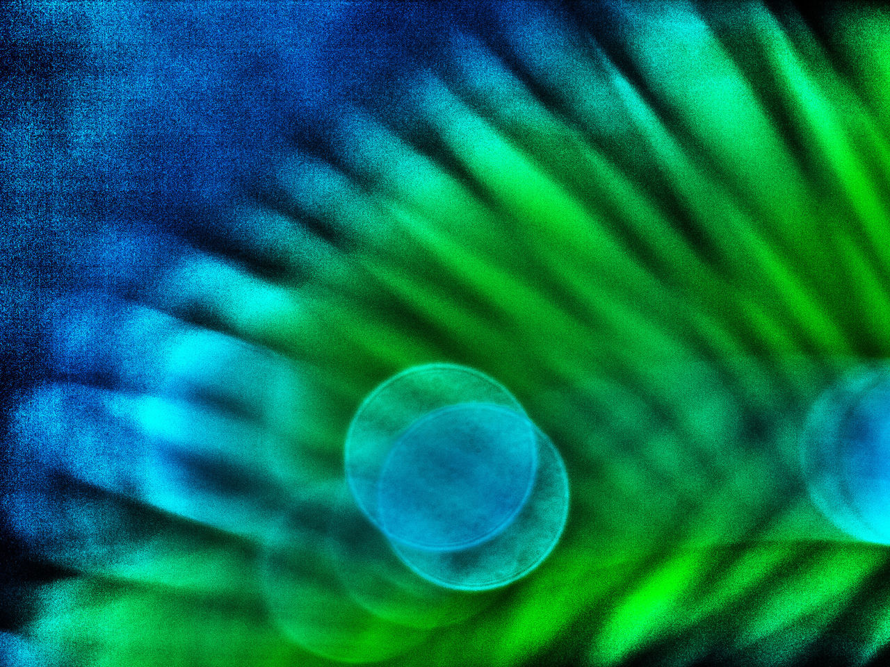 JB PHOTOART 080719248_1
