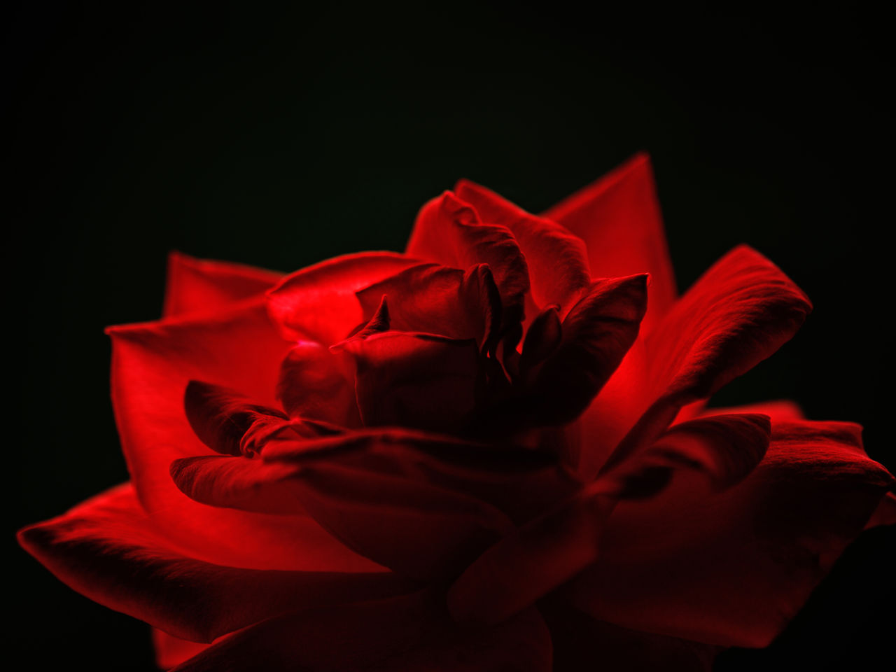 JB PHOTOART 100727_003_E 30