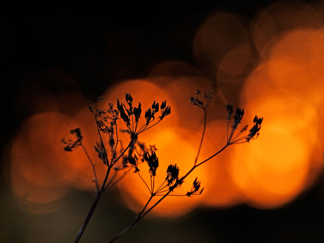 JB PHOTOART 110528_114_E 5
