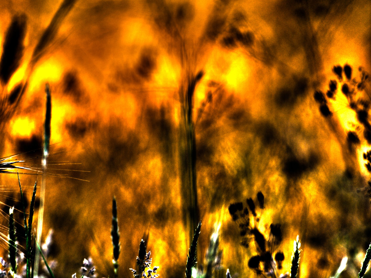 JB PHOTOART 110529_0032_E 5_01
