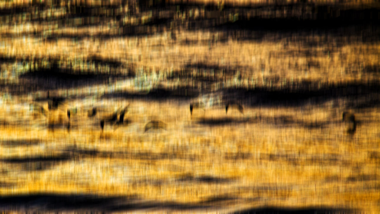 JB PHOTOART 20151214_118_1