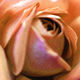 JB PHOTOART - 070605034_11