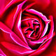JB PHOTOART - 070605035_1