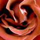 JB PHOTOART - 070605037