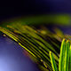 JB PHOTOART - 080203_108 (2)