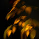 JB PHOTOART - 080911336