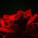 JB PHOTOART - 100727_003_E 30